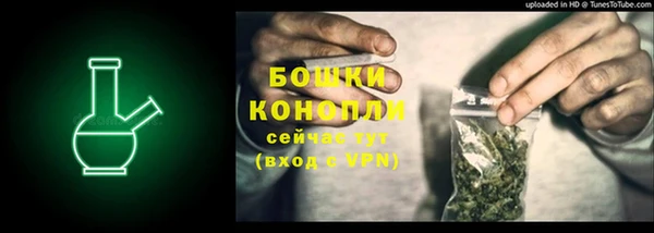 молекула духа Ладушкин