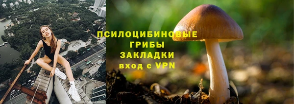 тгк Кулебаки